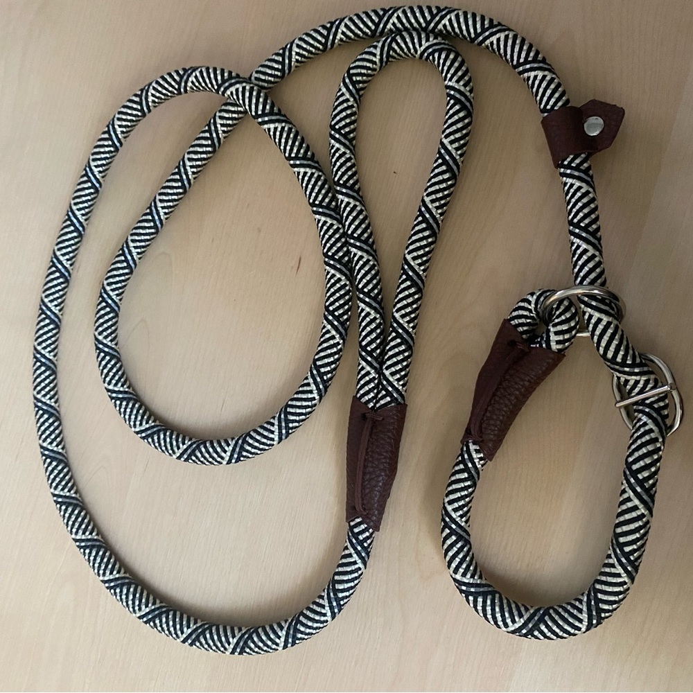 Braided dog leash